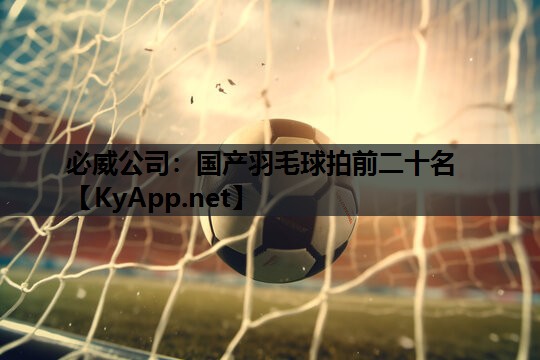 国产羽毛球拍前二十名