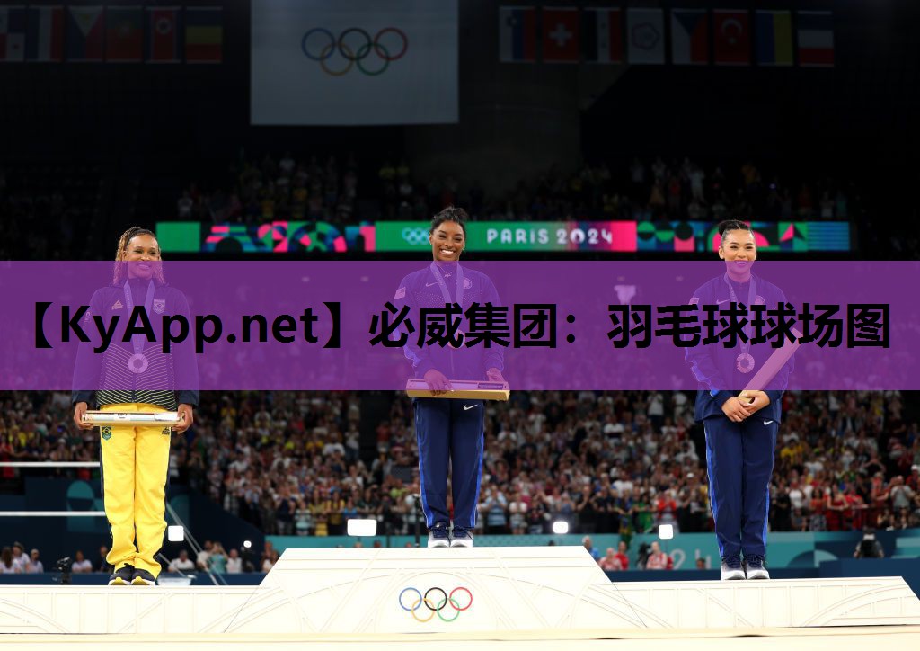 羽毛球球场图