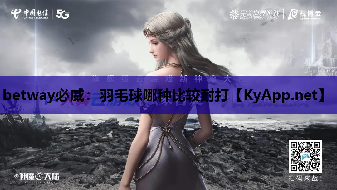 羽毛球哪种比较耐打