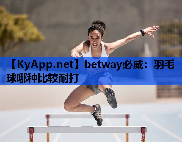 羽毛球哪种比较耐打