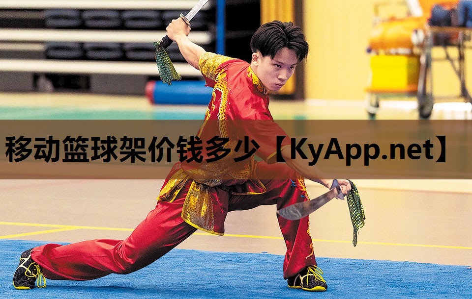 移动篮球架价钱多少