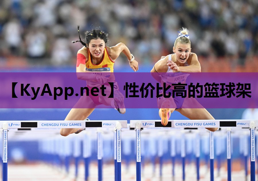 性价比高的篮球架