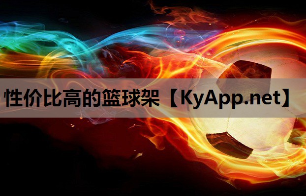性价比高的篮球架