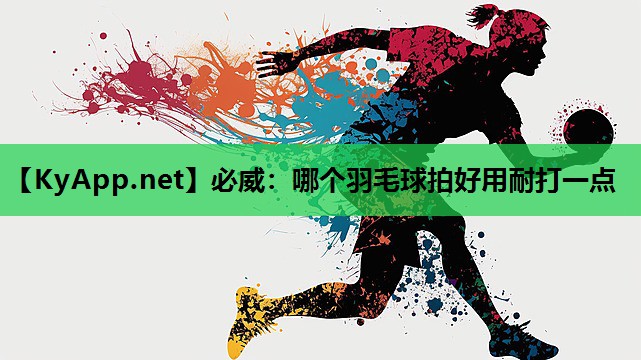 哪个羽毛球拍好用耐打一点