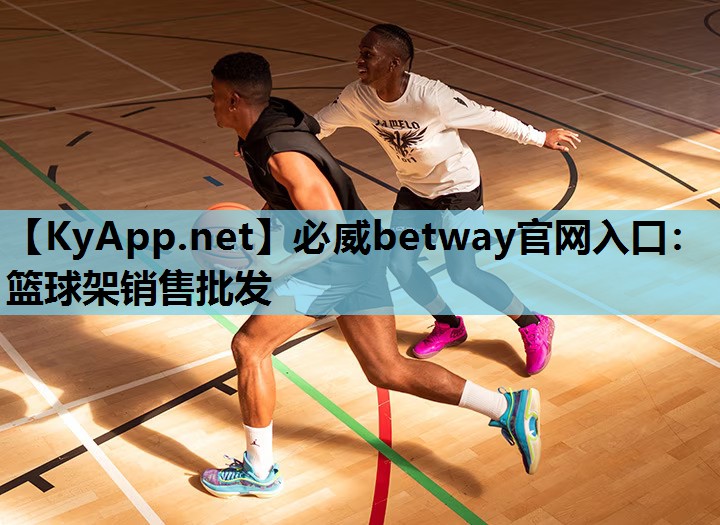 篮球架销售批发