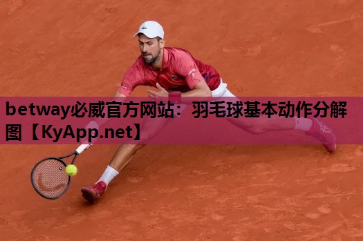 羽毛球基本动作分解图