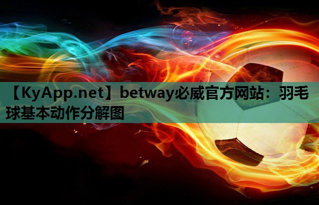 羽毛球基本动作分解图