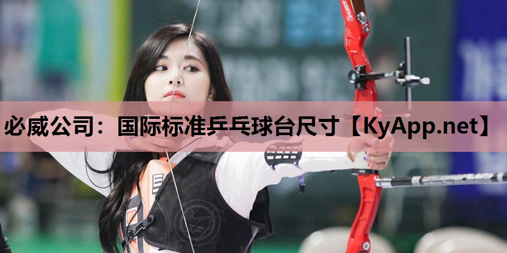 国际标准乒乓球台尺寸