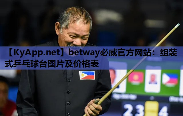 组装式乒乓球台图片及价格表