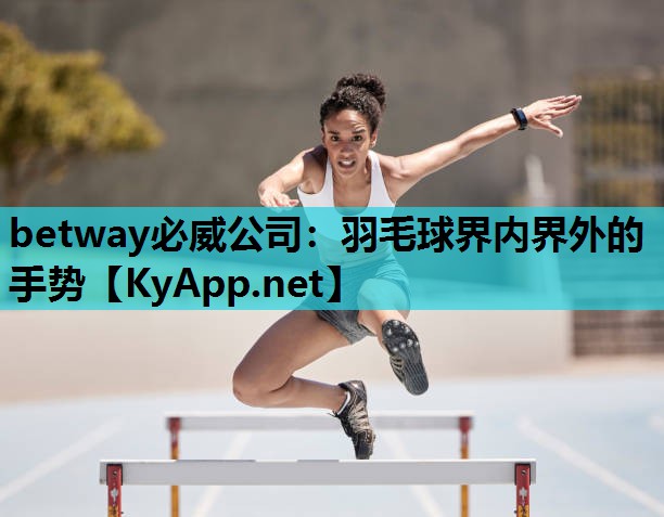 羽毛球界内界外的手势