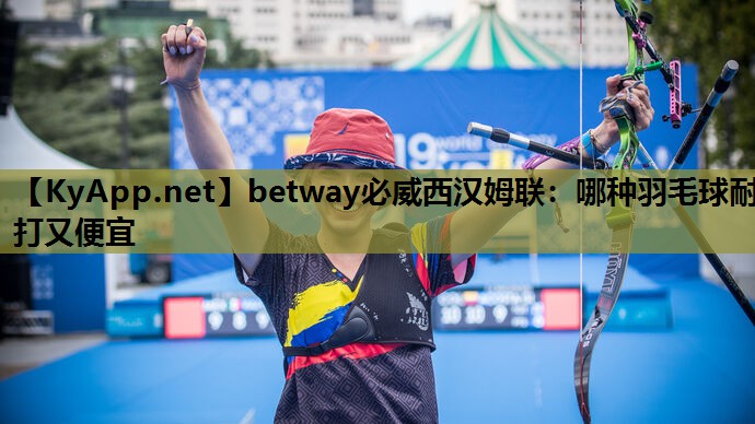 哪种羽毛球耐打又便宜