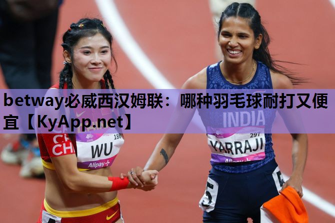 哪种羽毛球耐打又便宜