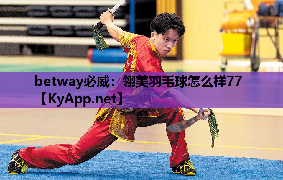 翎美羽毛球怎么样77